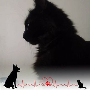 Meet your Posher, Moriah